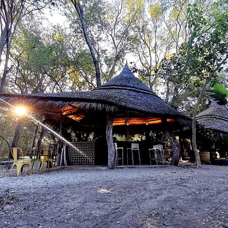 The Tshilli Farm & Lodge Maun Ngoại thất bức ảnh